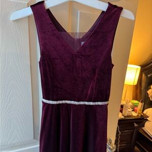 Beautiful Burgundy Velour Dress